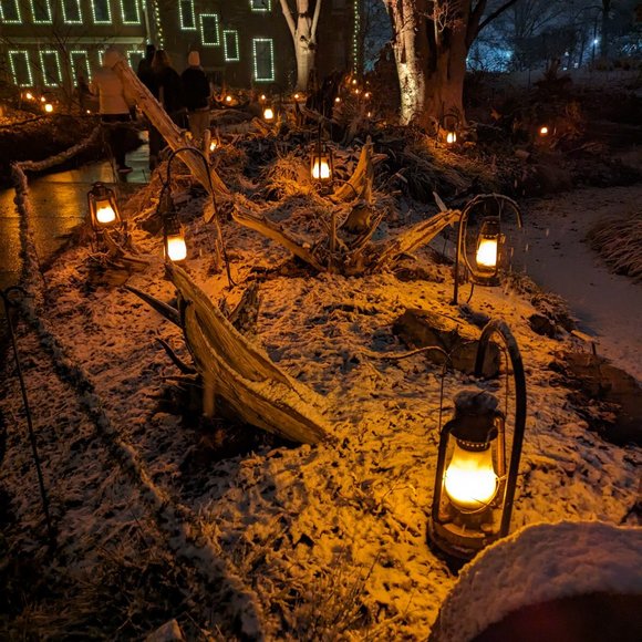 Meet your Posher, Amy - Picture 3 of 4